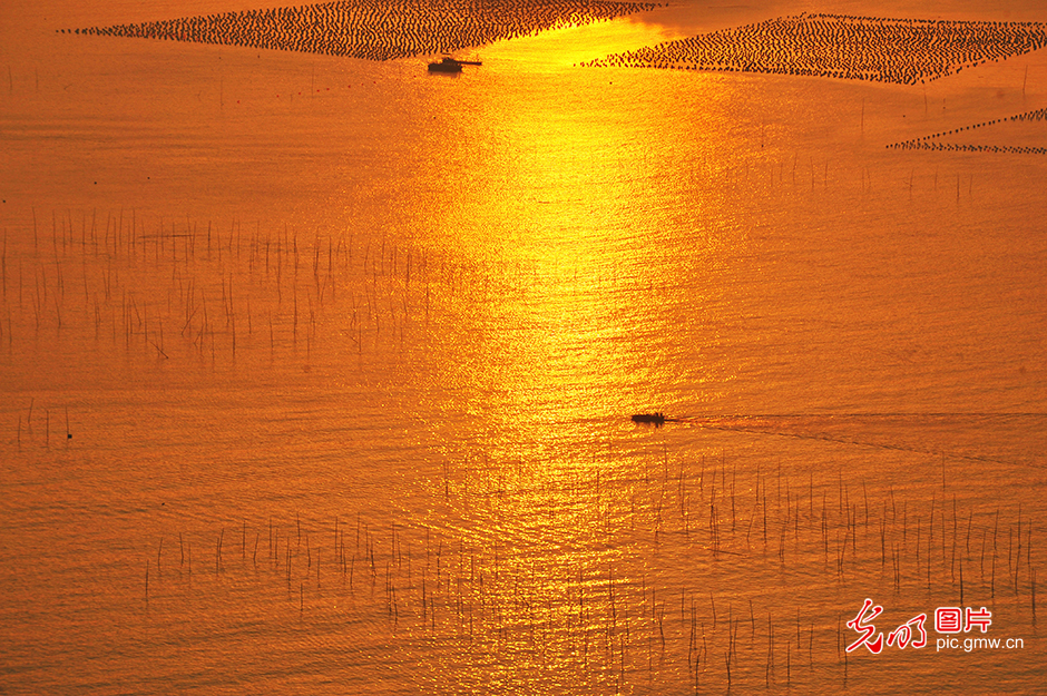 寻味中国年 解锁新春多元可能