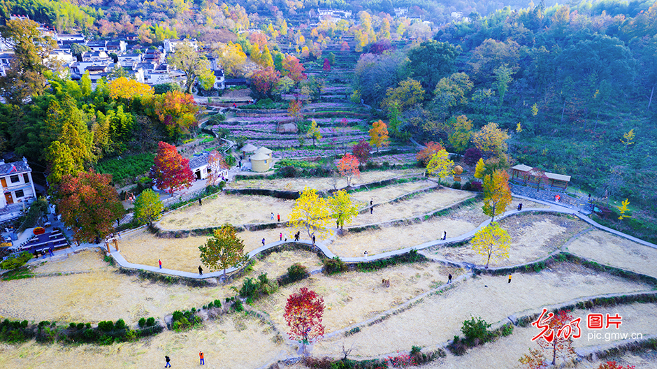 寻味中国年 解锁新春多元可能