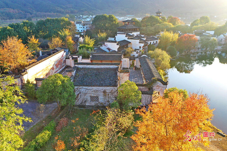 寻味中国年 解锁新春多元可能