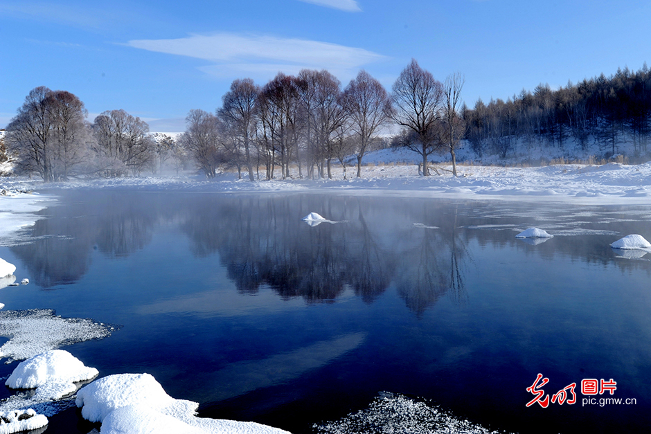 寻味中国年 解锁新春多元可能