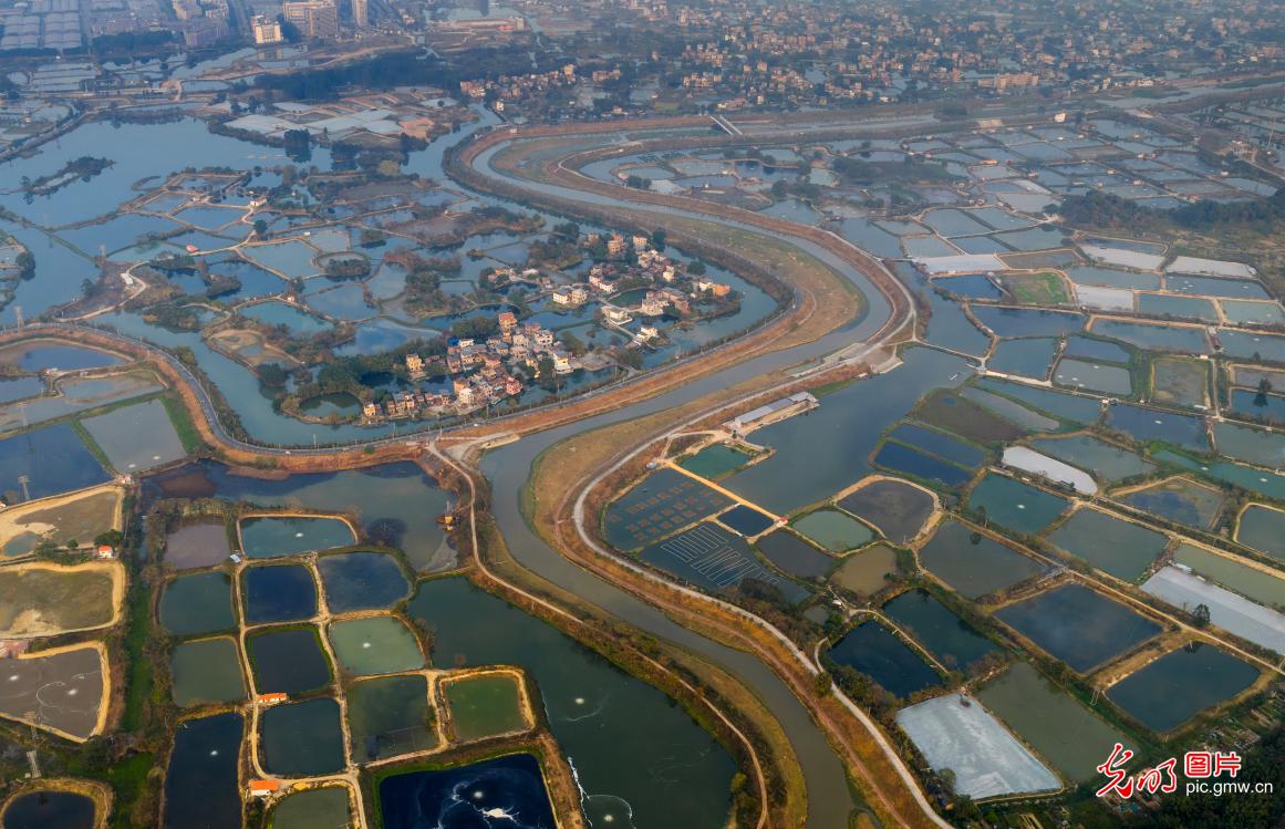 古劳水乡落日美景