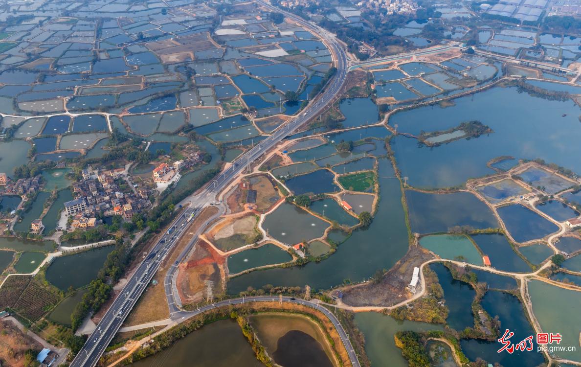 古劳水乡落日美景