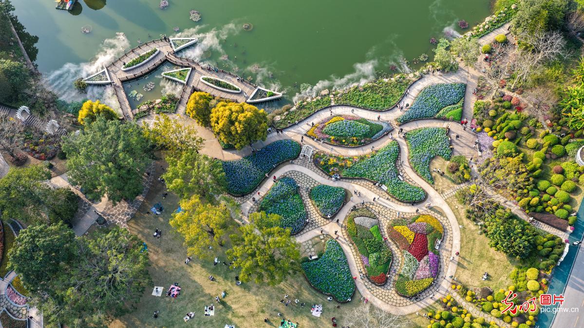 繁花似锦 游人踏香