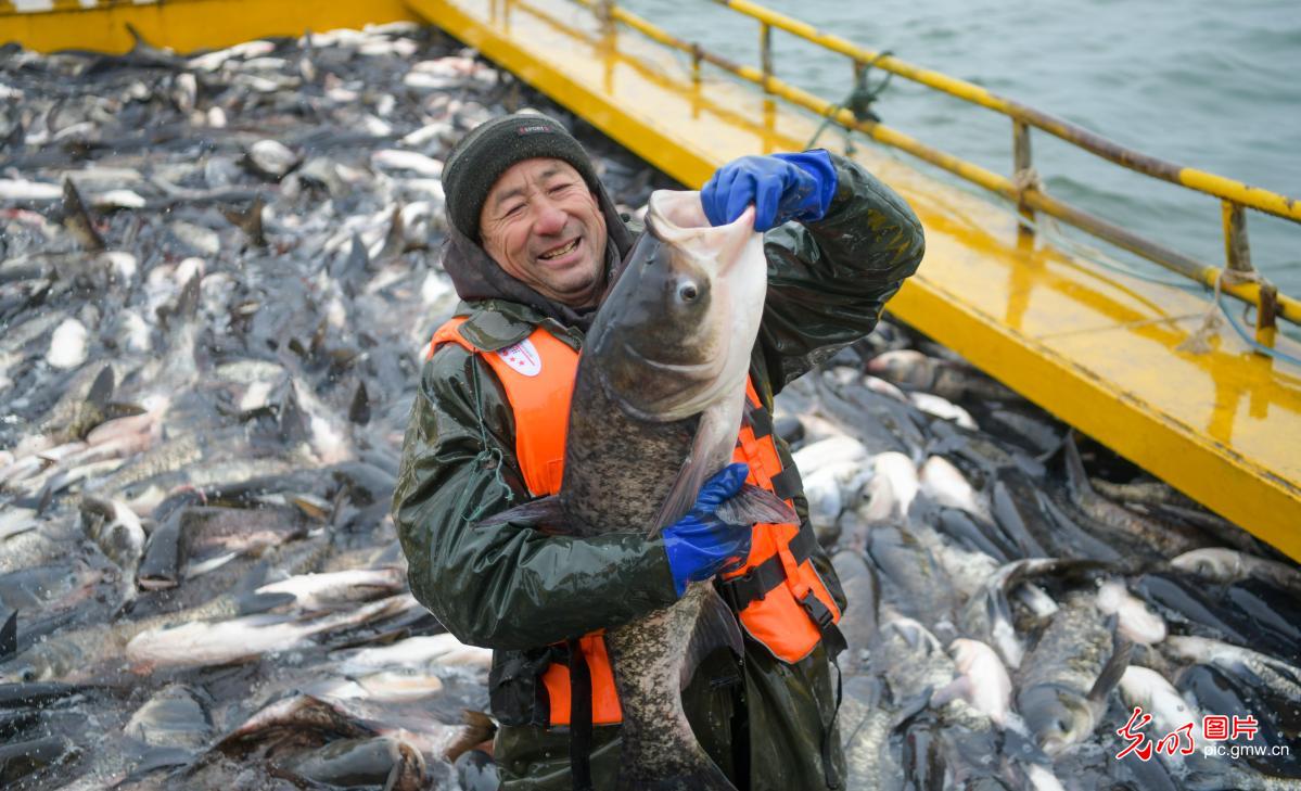 新年第一网 冬捕供市场