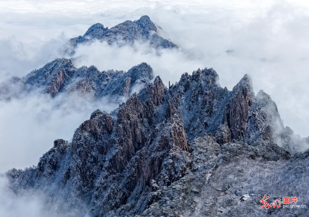 雪后黄山景如画