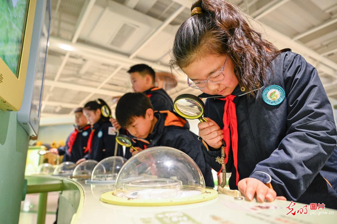 科普点亮寒假时光