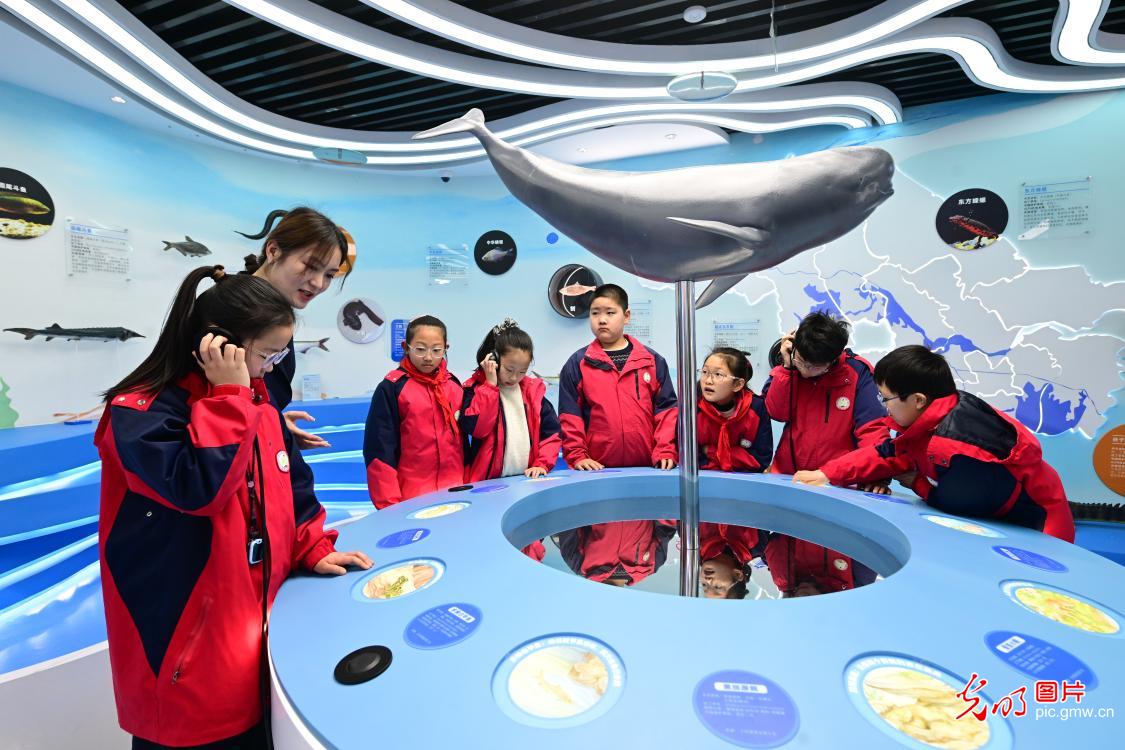 江豚沉浸式体验馆科普研学