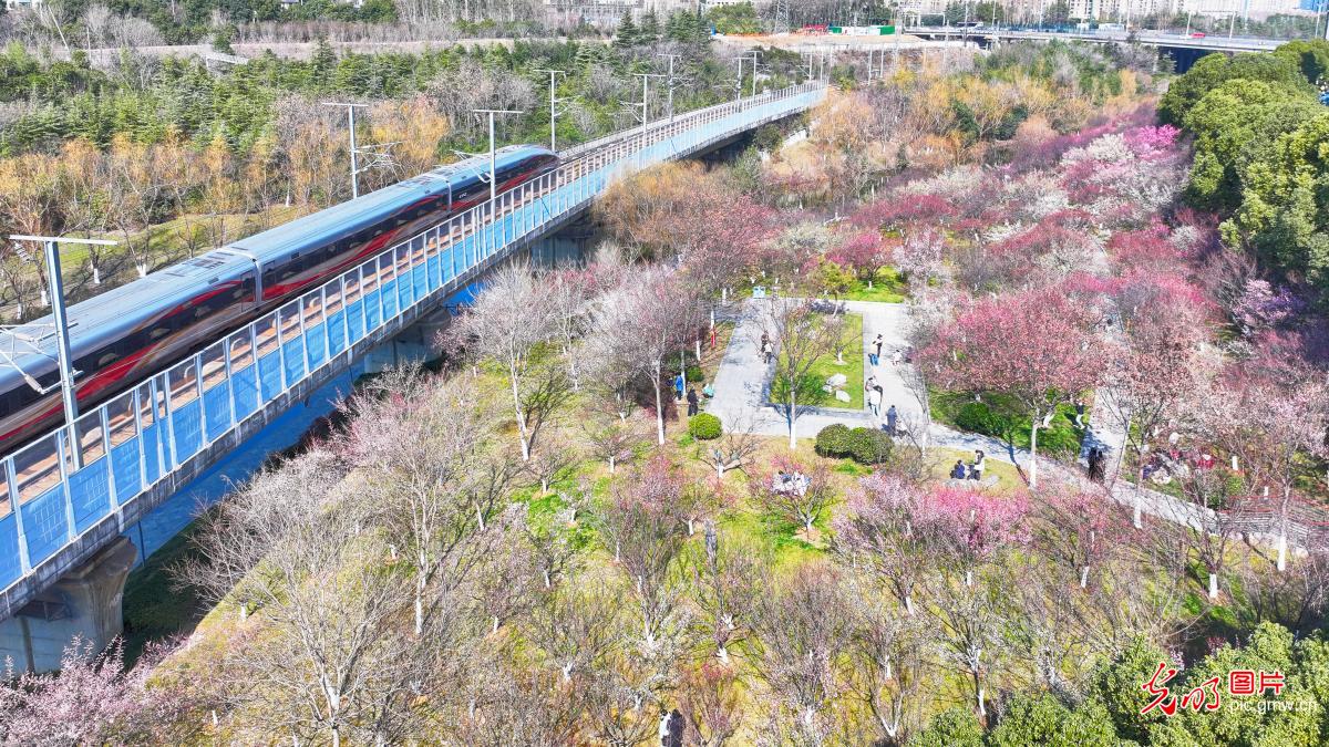 开往春天的列车