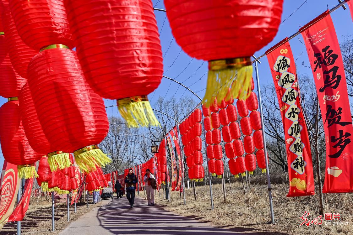 张灯结彩迎新春