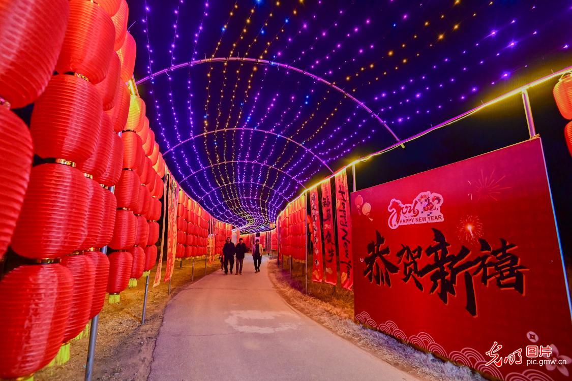 张灯结彩迎新春