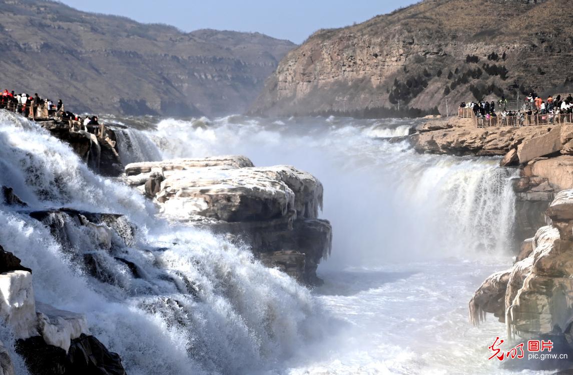 壶口冰消水涨 涛声震彻新春