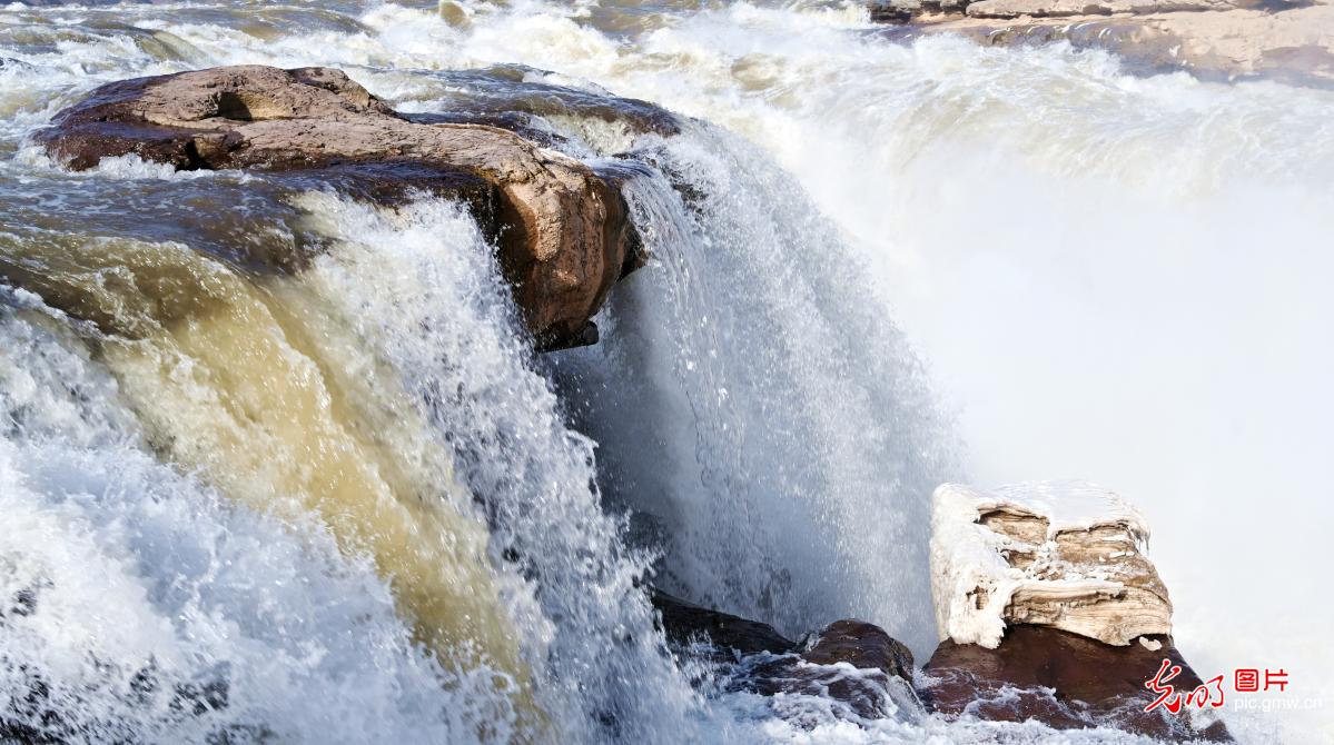 壶口冰消水涨 涛声震彻新春
