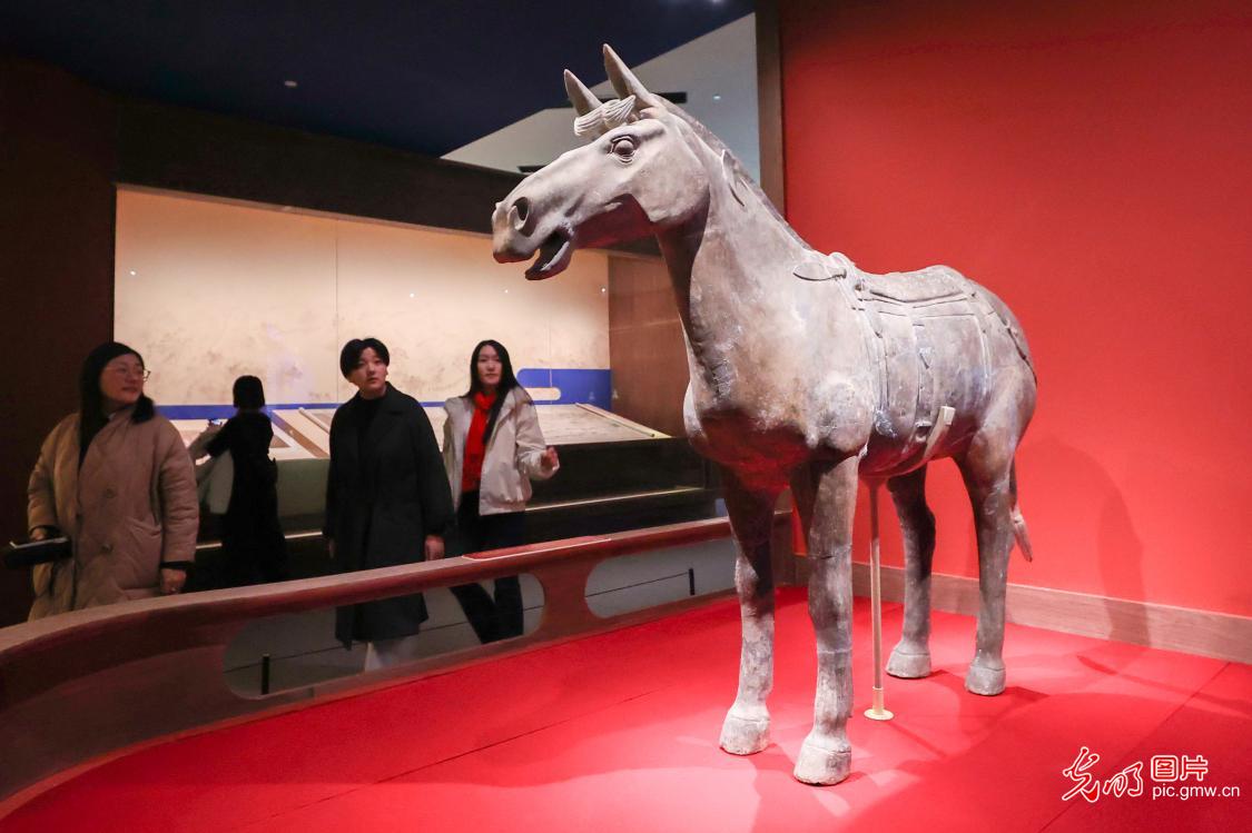 马年观文物 文脉润新春