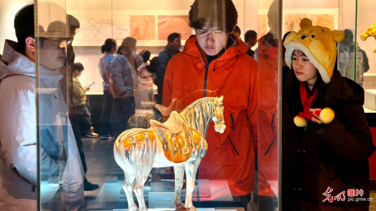 马年观文物 文脉润新春