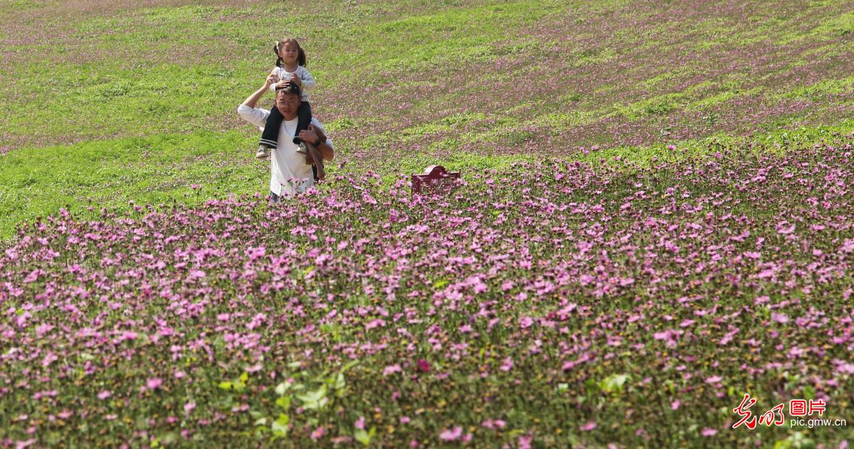 踏青赏花 乐享春光