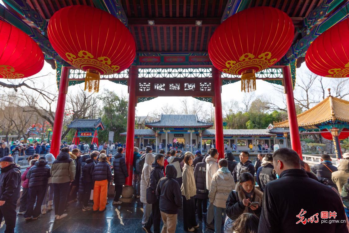 畅游趵突泉 乐享假期