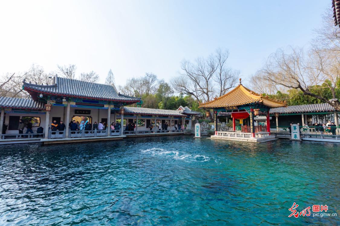 畅游趵突泉 乐享假期