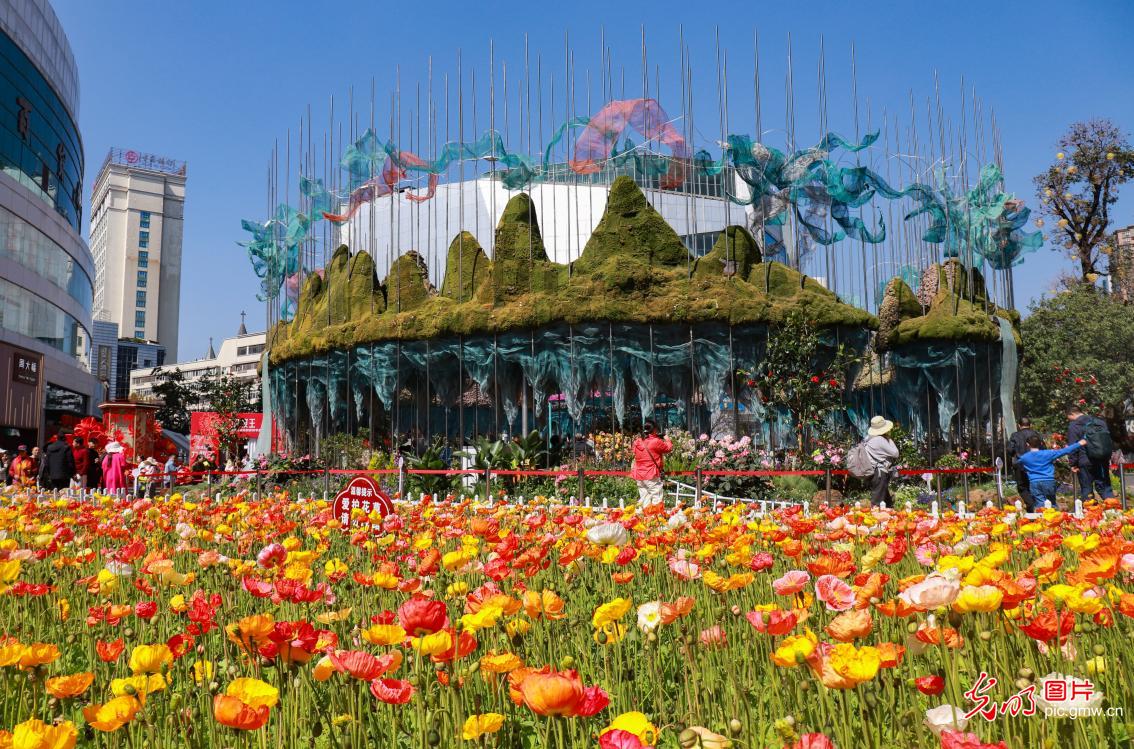 繁花似锦贺新春