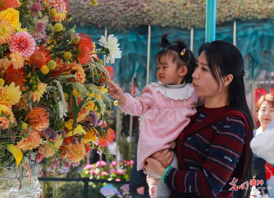 繁花似锦贺新春
