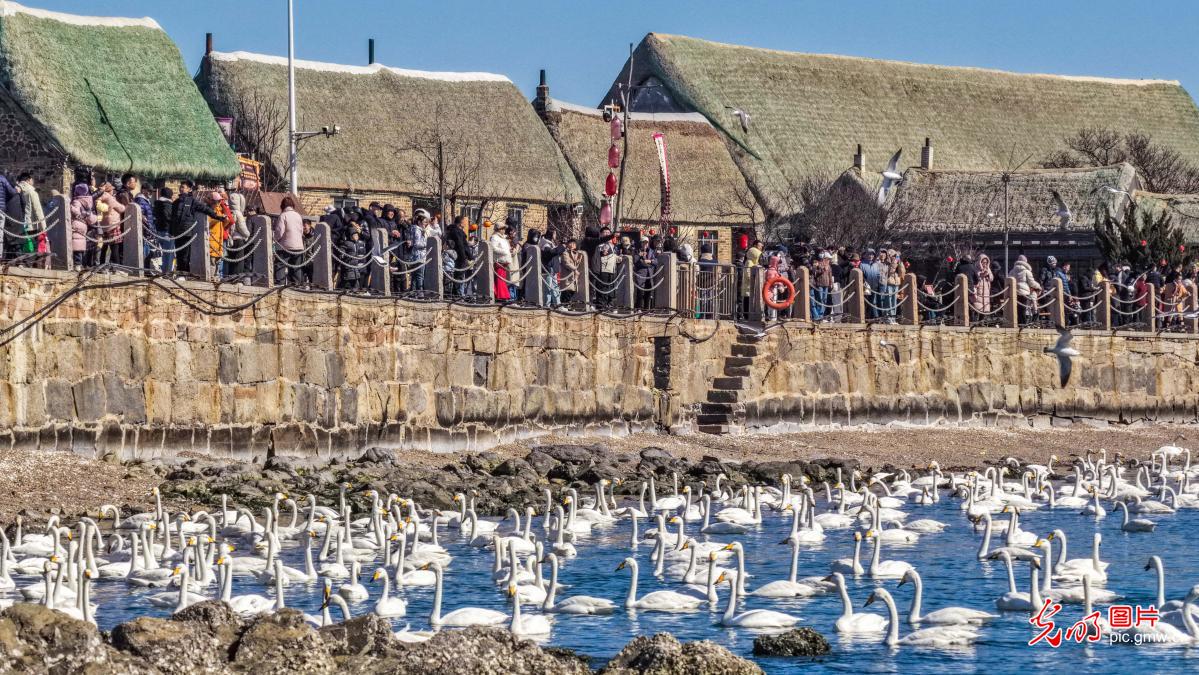 人气爆棚 这个春节被热闹承包了