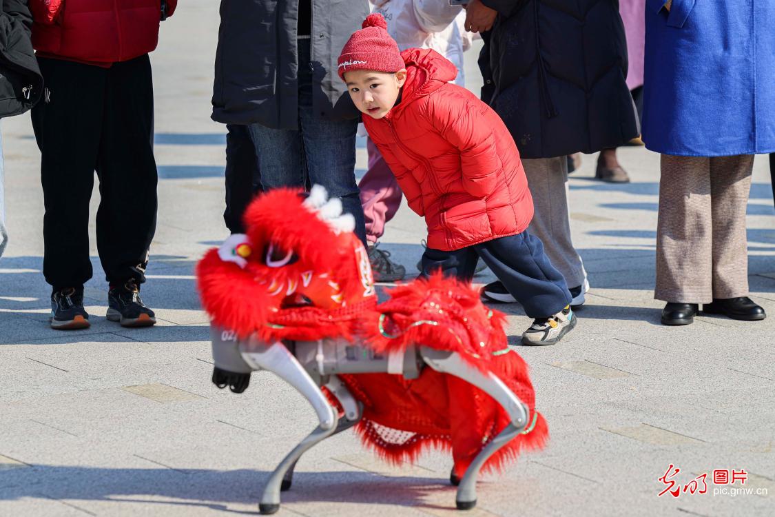 当传统庙会遇上“硬核”科技