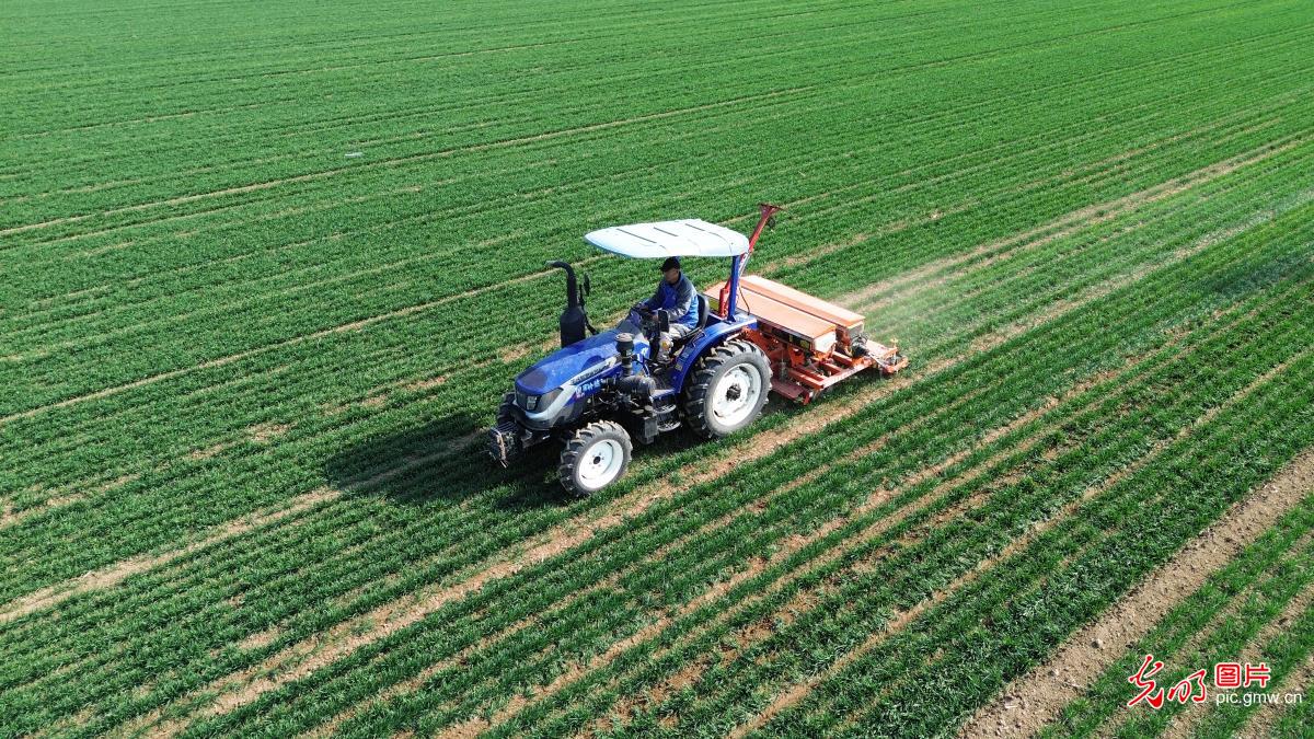 春回大地暖 农忙正当时