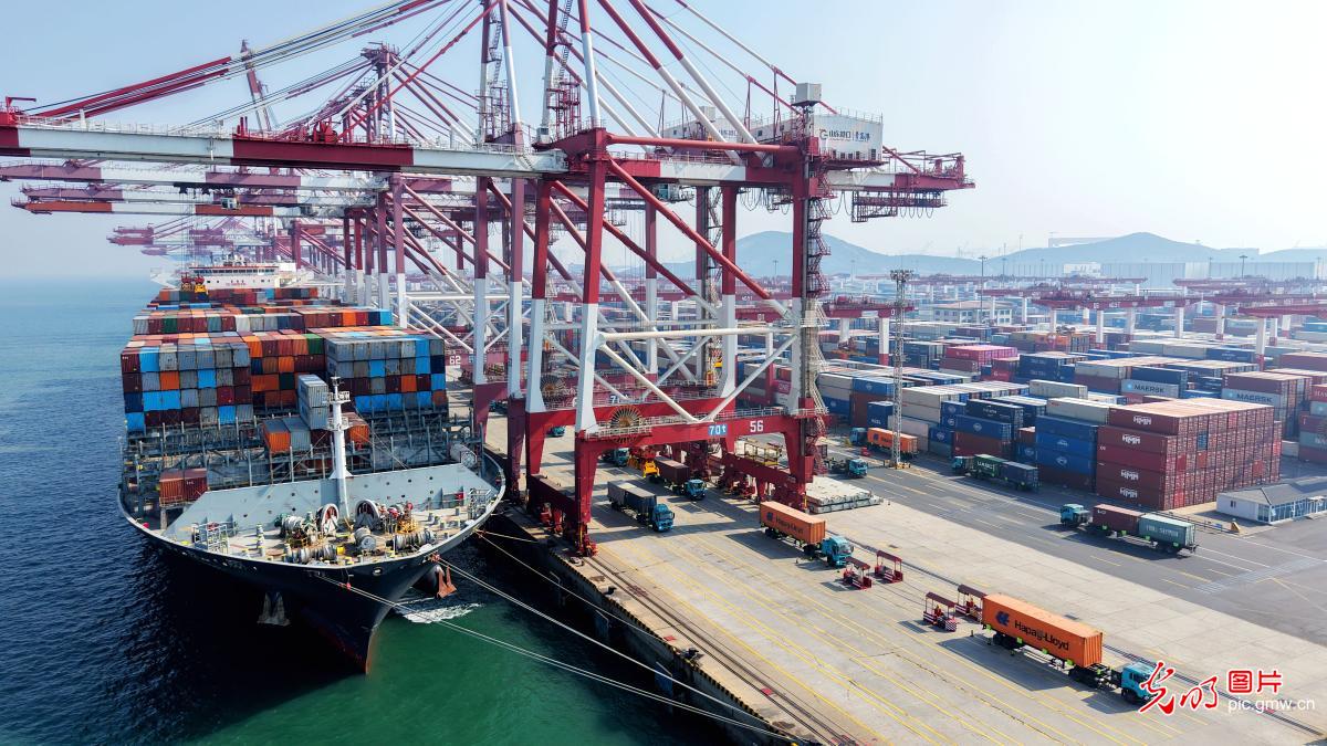 港口节日生产“快马扬鞭”