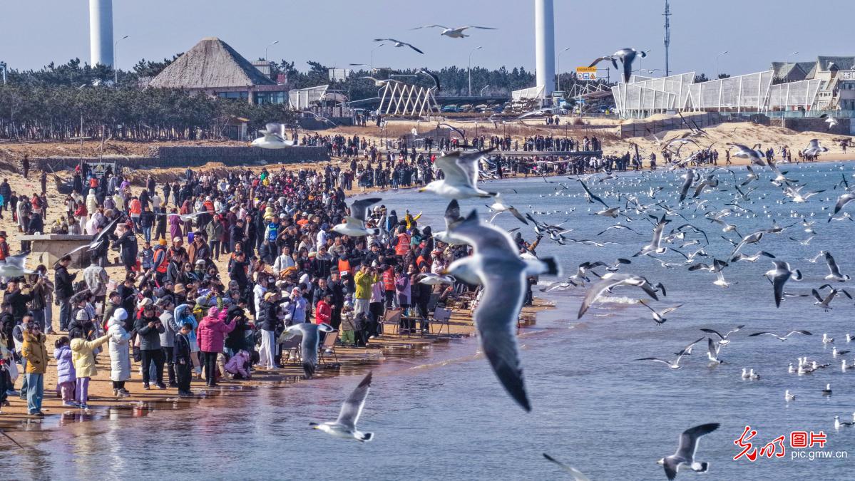 文旅市场热潮涌动