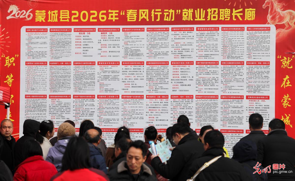 春风送岗暖人心 精准对接稳就业