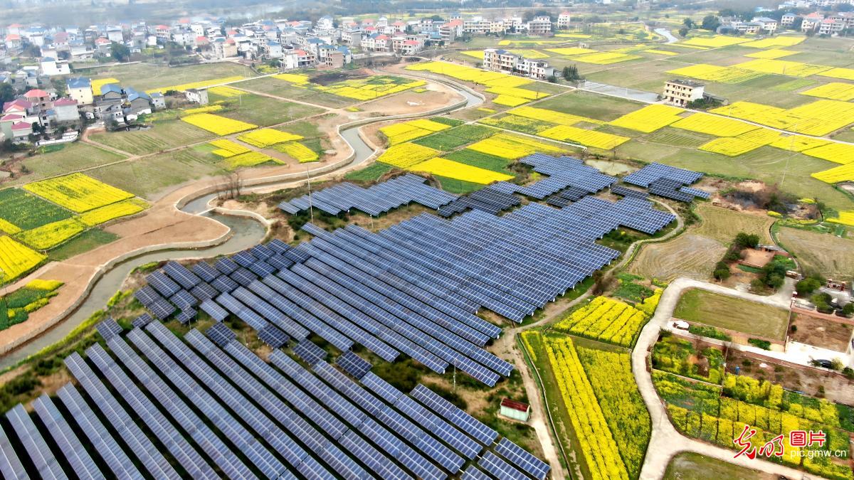 农光互补绘新景 生态产业两相宜 农光互补绘新景 生态产业两相宜