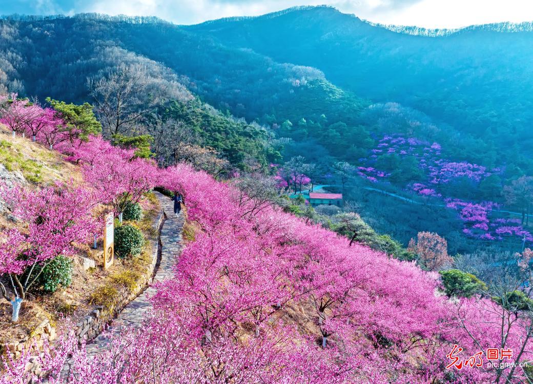 踏青赏花 乐享美好春光