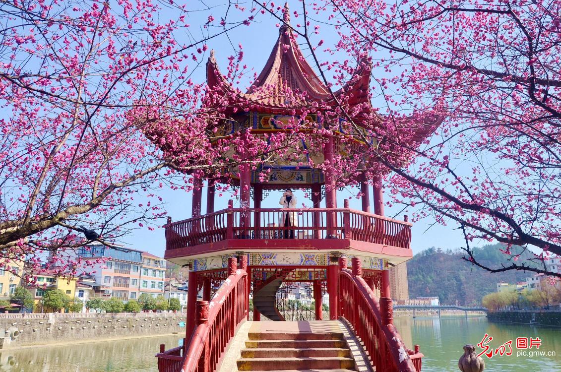 踏青赏花 乐享美好春光