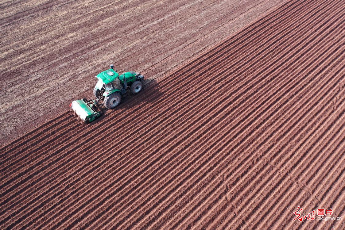 人勤春早农事忙