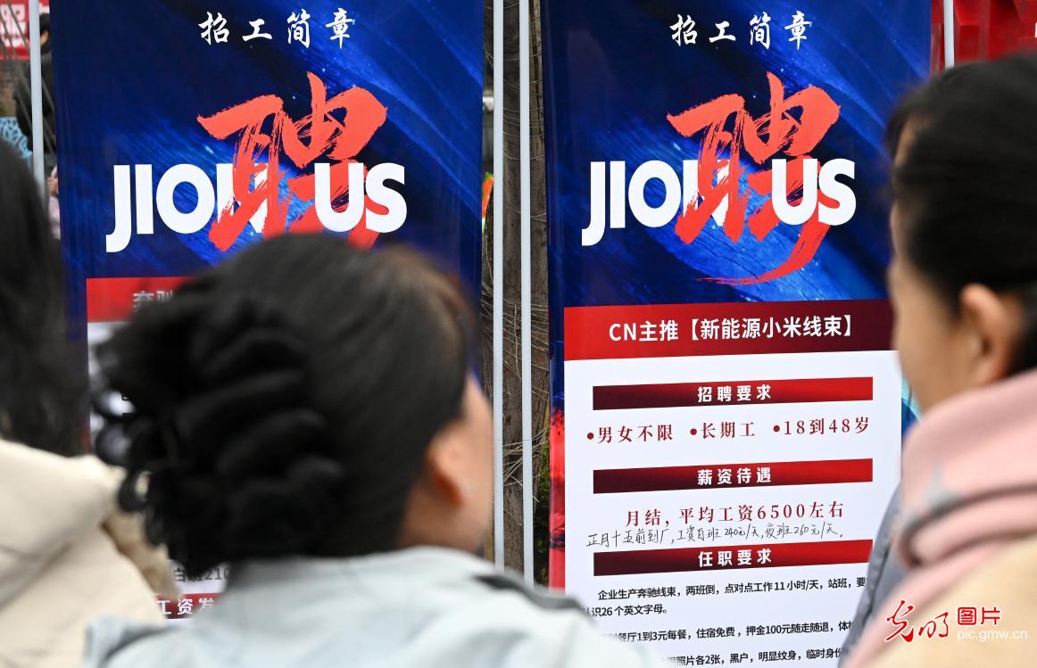 春招火热 精准就业