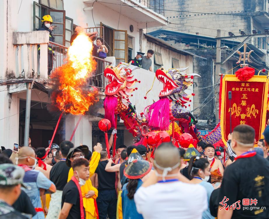 非遗炮龙起舞