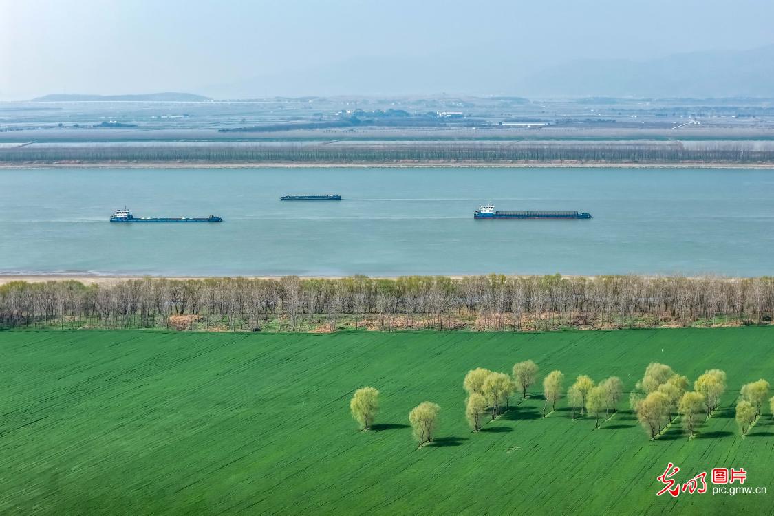 春来江岸绿 田园气象新