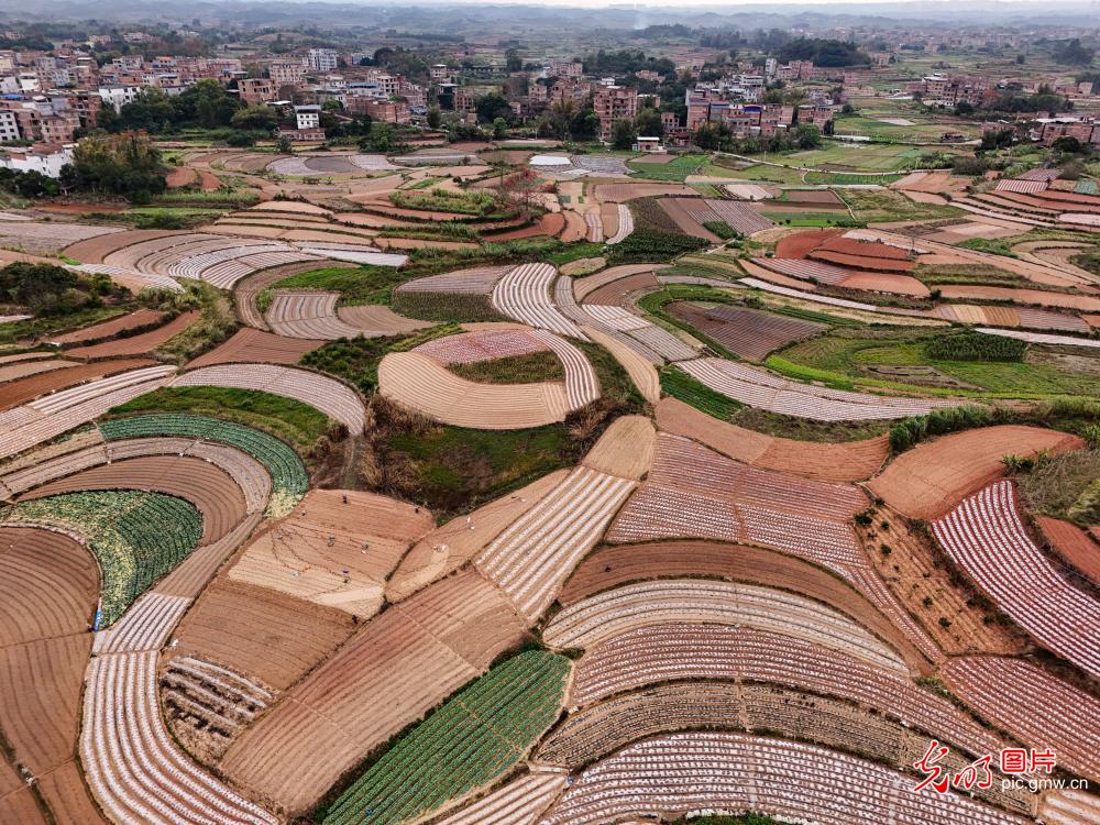 七彩田园绘新卷 七彩田园绘新卷
