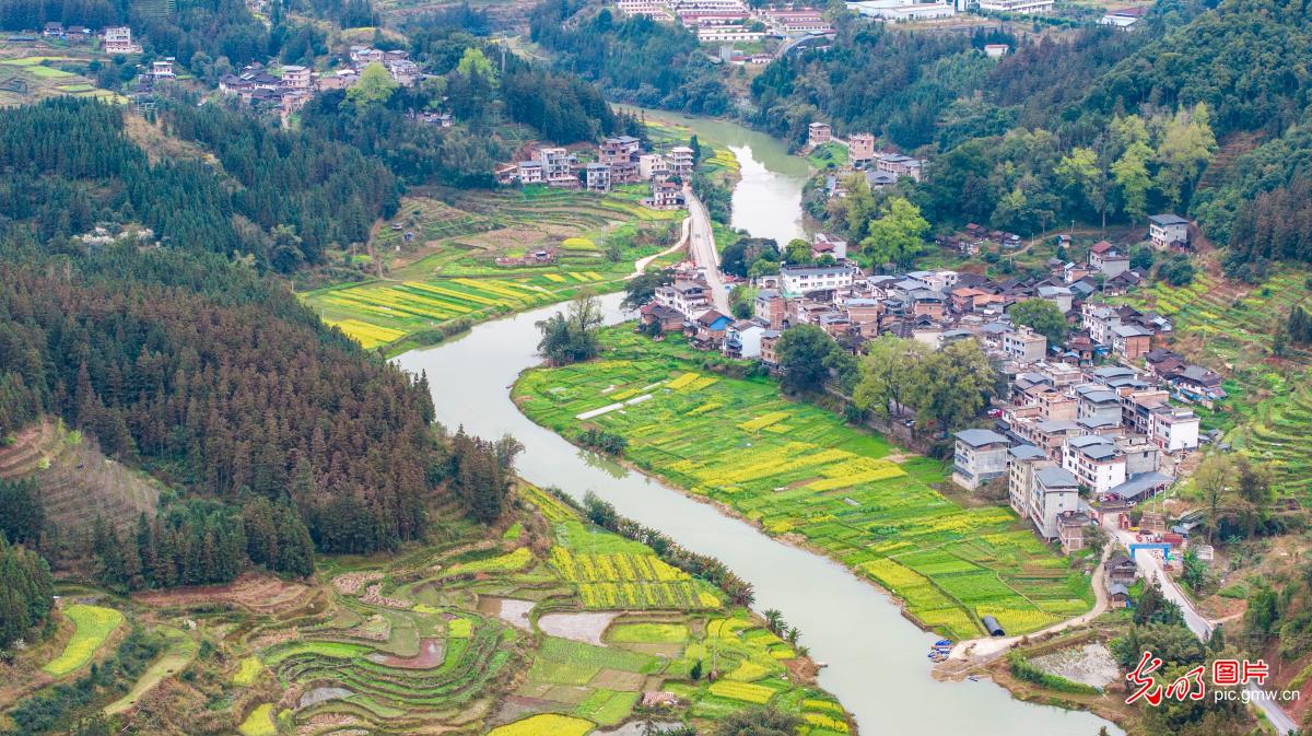 和美乡村春意盎然