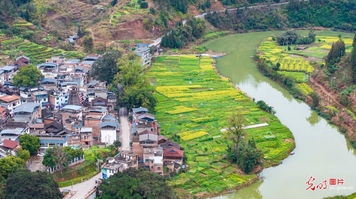 和美乡村春意盎然