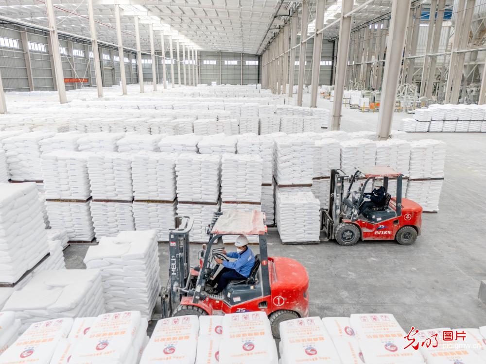 企业开足马力忙生产