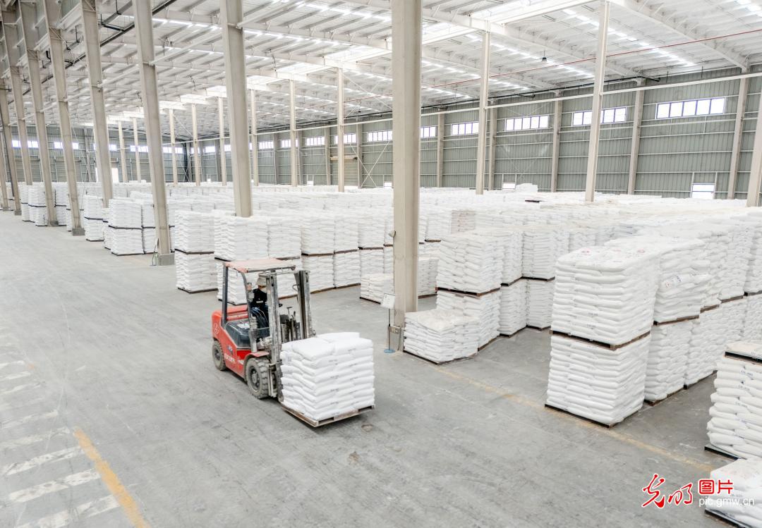 企业开足马力忙生产