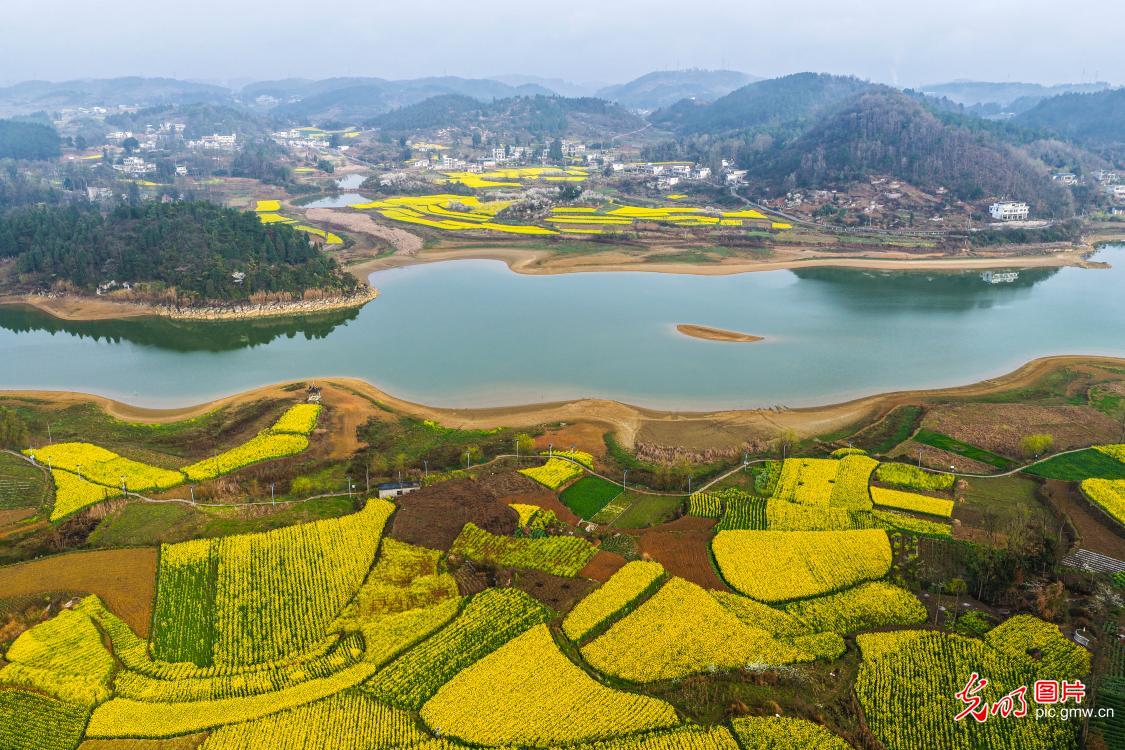 春回大地 田园如画