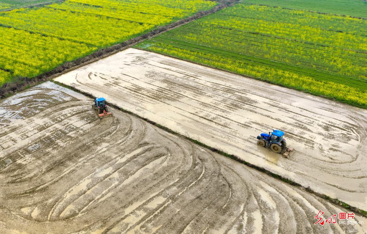 惊蛰启新序 春耕正当时