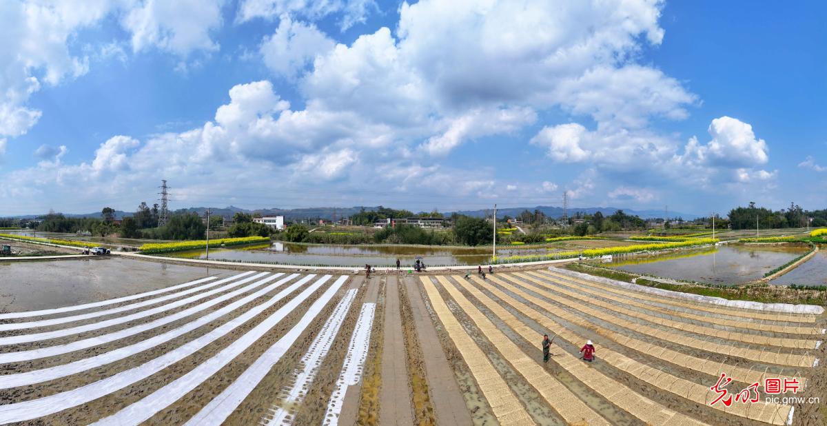 惊蛰启新序 春耕正当时