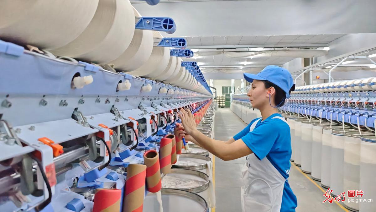 纺线织就发展新图景