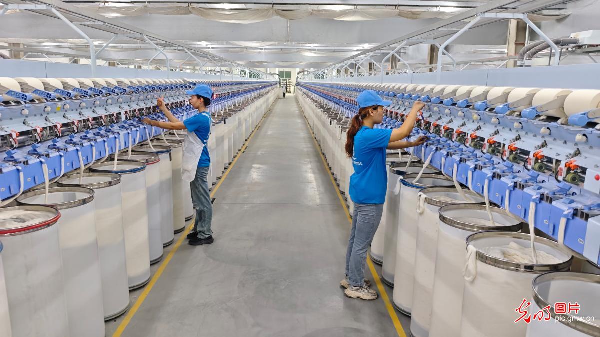 纺线织就发展新图景