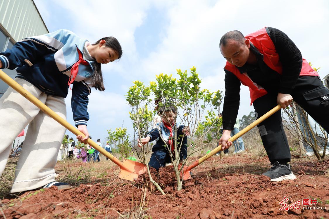 植树添新绿