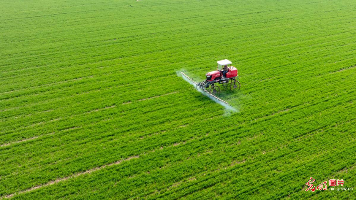 抢抓农时 助春耕