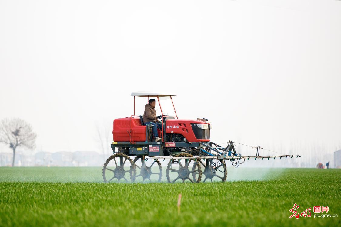 抢抓农时 助春耕