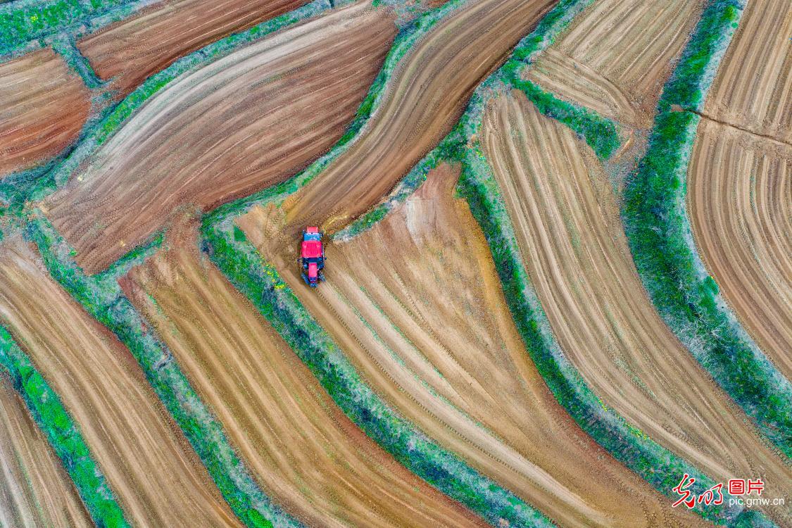 春光正好农作忙